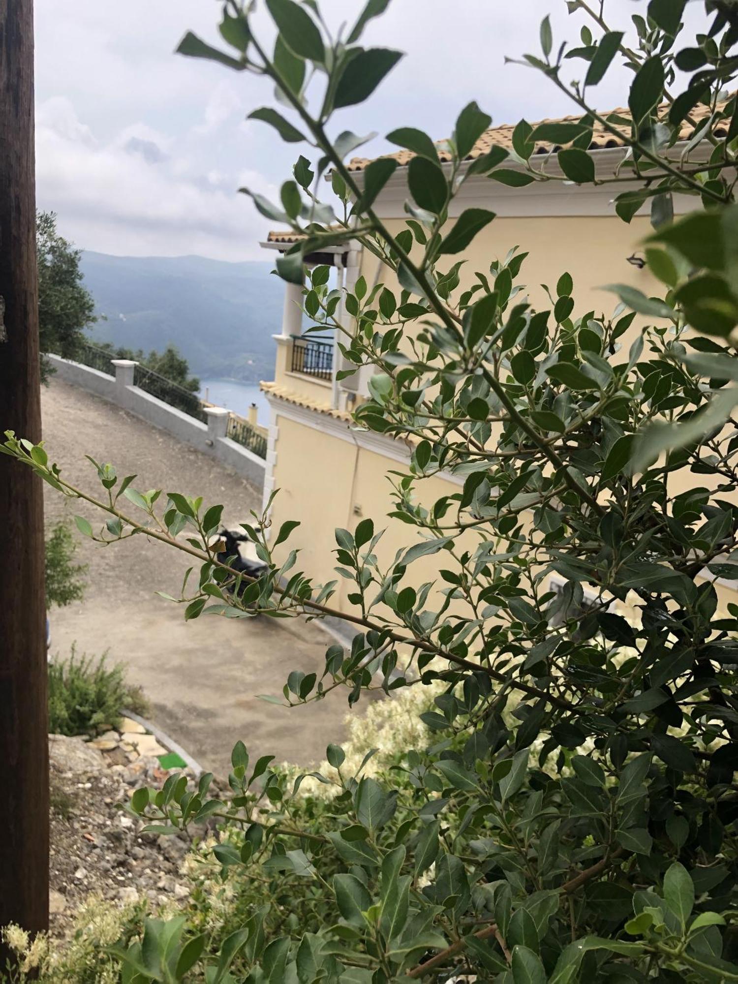 LákonesMariza'S View Houseアパートメント エクステリア 写真
